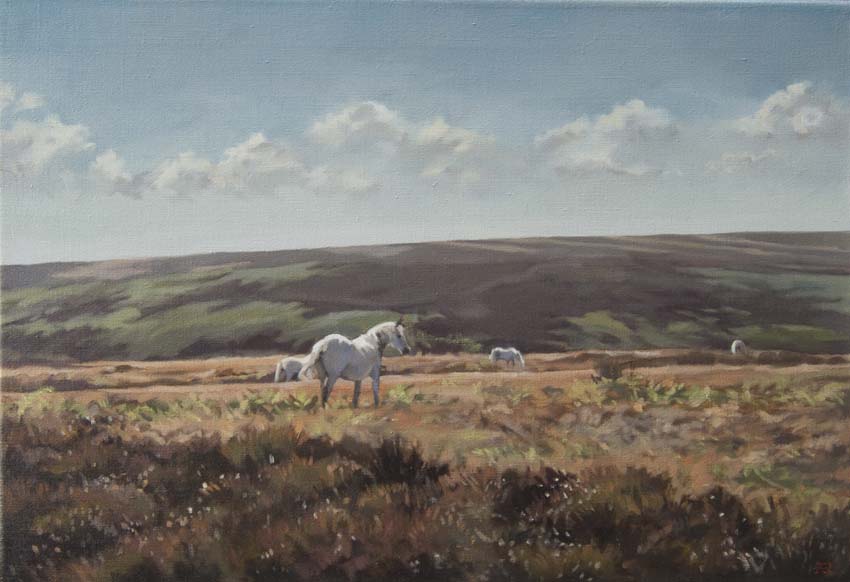 Ponies on the Moor